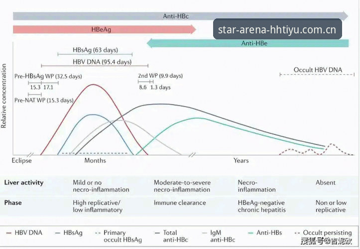 浩瀚体育下载安装成功 vs 安装失败：两者差距究竟在哪里？一篇深度对比解析